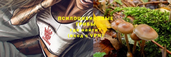 ALPHA PVP Тында