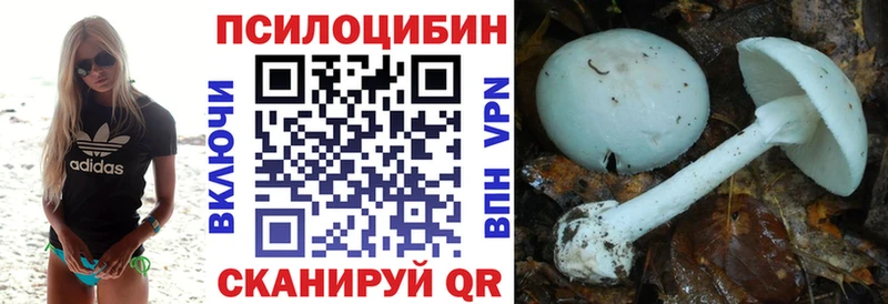 Галлюциногенные грибы GOLDEN TEACHER  Купить где  Суворов 